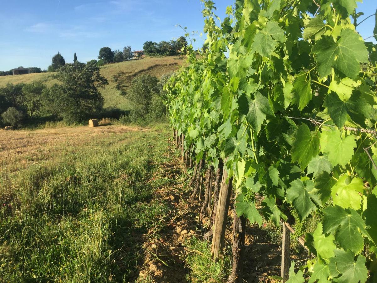 Poggio Alla Pietra 26 Porrona 外观 照片