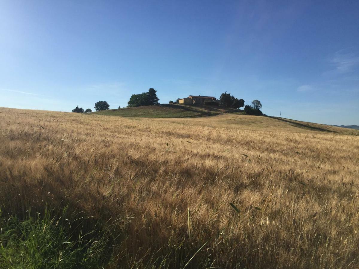 Poggio Alla Pietra 26 Porrona 外观 照片